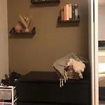 Fin Naert Alt Apartament *