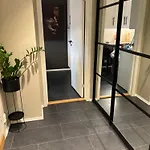 Fin Naert Alt Bergen