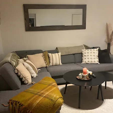 Fin Naert Alt Bergen