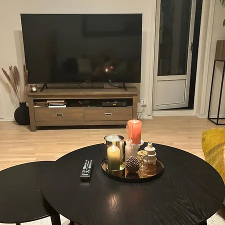 Fin Naert Alt Apartment