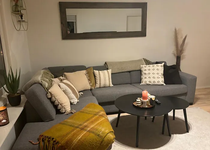 Fin Naert Alt Bergen